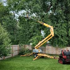 Best Organic Lawn Care Solutions  in Midland Park, NJ