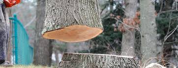 Best Commercial Tree Services  in Midland Park, NJ